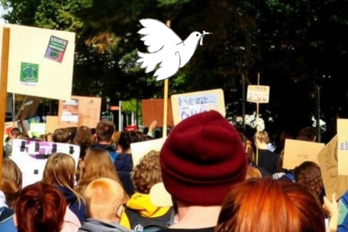 Für mehr Demos unter dem Zeichen der Friedenstaube: Jetzt Friedenspatin werden.