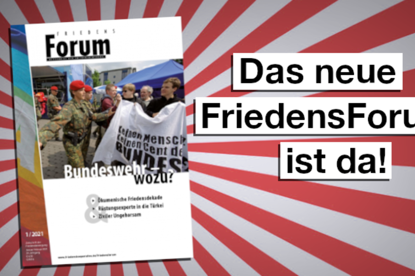 Bundeswehr - wozu?