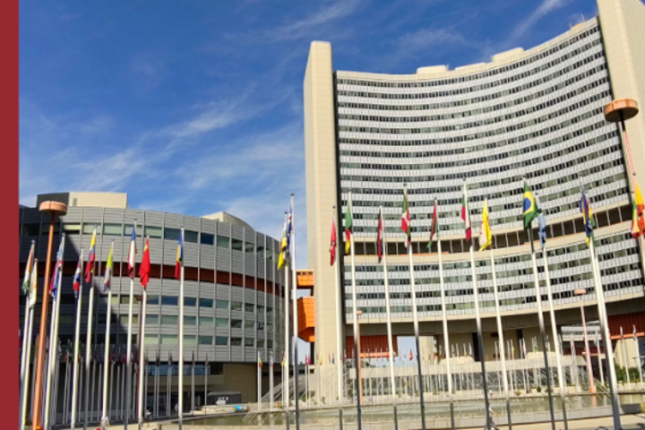 Blog von der Atomwaffen-Konferenz in Wien