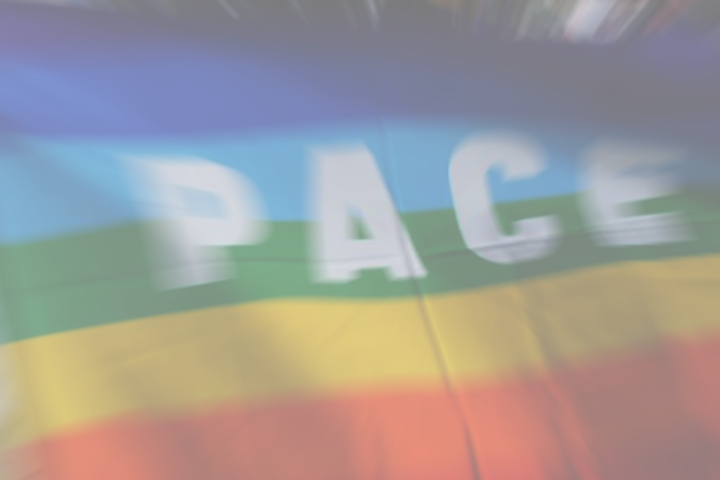 Petition gegen Verfolgung von ukrainischen Kriegsgegner