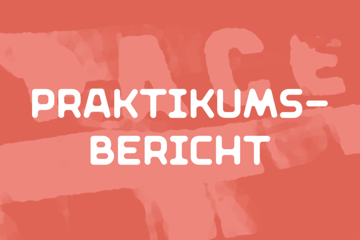 Praktikumsbericht